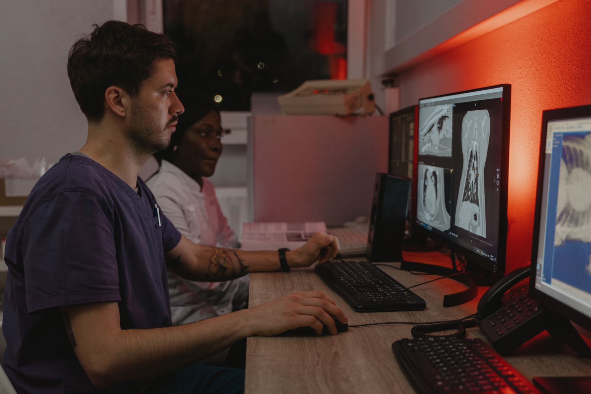 a veterinarian reviewing an animal x-ray on a computer monitor